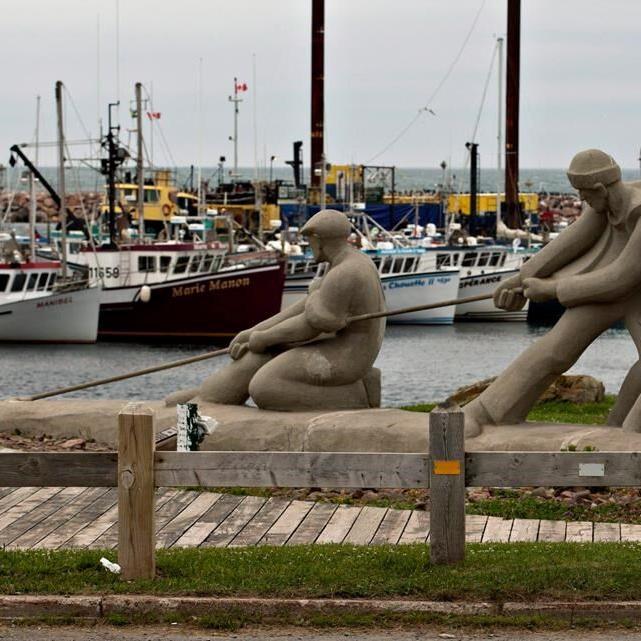 Oceanographers say warming waters in the Gulf of St. Lawrence affecting animal life